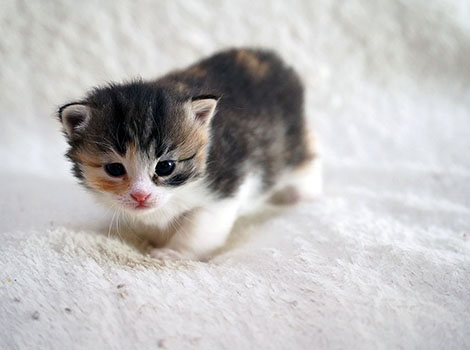 Nadeschda am 08.03.2025